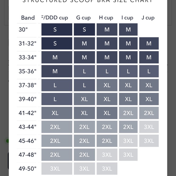 Evelyn and Bobbie Structured Scoop Bra in Mica (M) - Picture 7 of 8